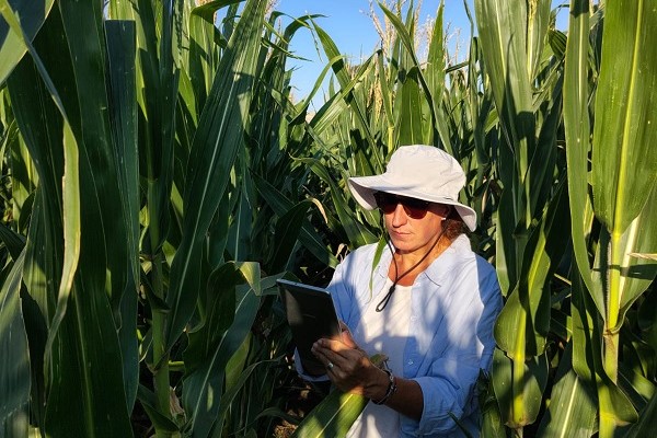 Investigación para Producción